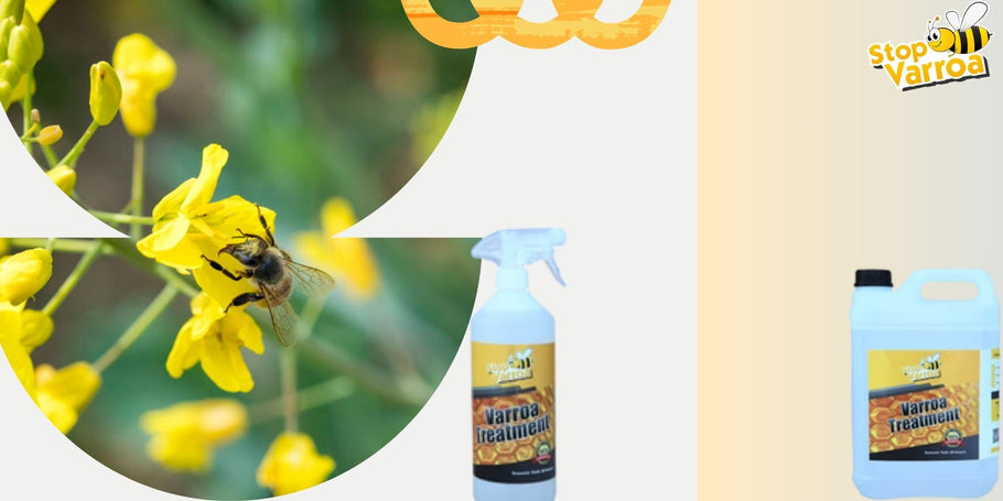 Przewiduj obecność Varroa i skutecznie chroń nasze pszczoły