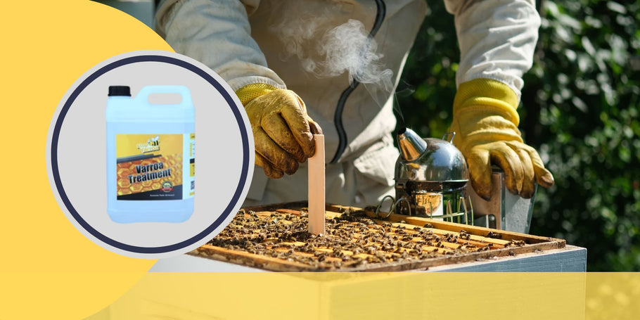 Zwalczanie roztoczy Varroa: kluczowe momenty dla ochrony zdrowia pszczół