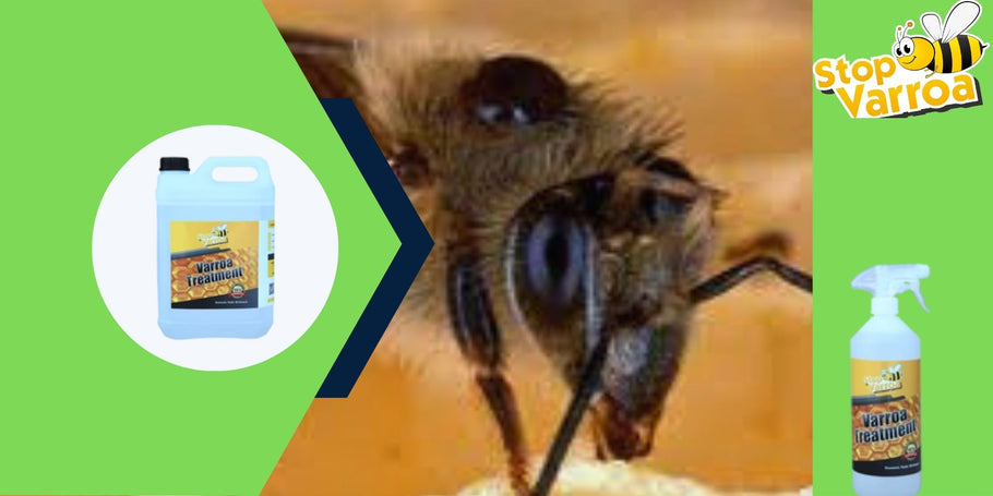 Rewolucja przeciw Varroa: Rozwiązanie, które uratuje Twoje pszczoły