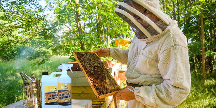 Roztocza Varroa: zagrożenie dla pszczół, rozwiązania dla pszczelarzy